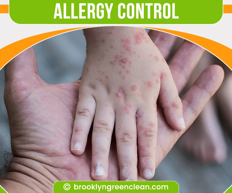 carpet cleaning in brooklyn, carpet cleaning in new york, carpet cleaning brooklyn, carpet cleaners in brooklyn, carpet cleaners in new york, commercial carpet cleaning, commercial carpet cleaning in brooklyn, brooklyn rug cleaners, rug cleaning services in brooklyn, same day carpet cleaning, same day rug cleaning