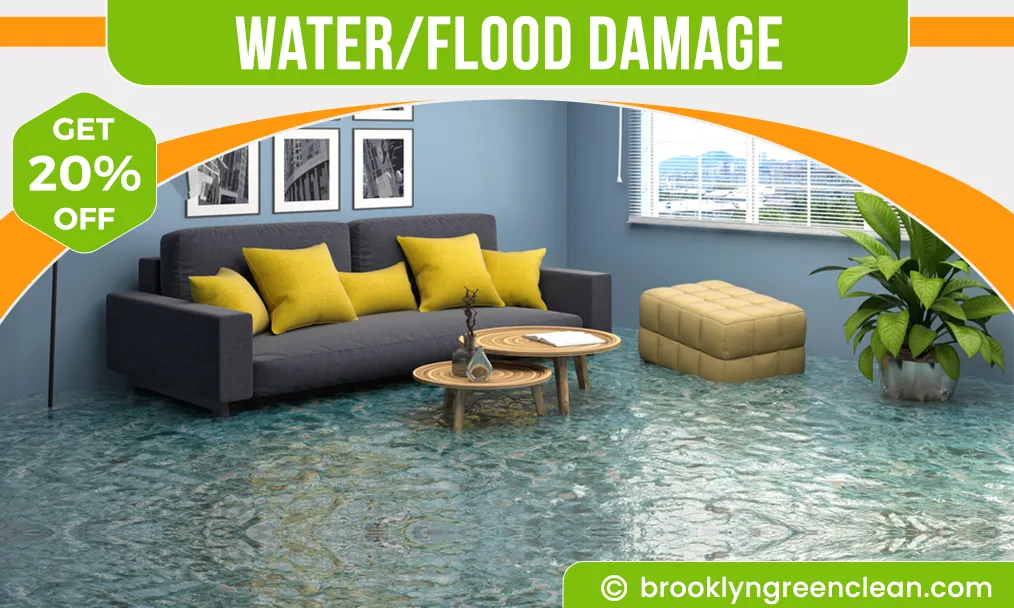 carpet cleaning in brooklyn, carpet cleaning in new york, carpet cleaning brooklyn, carpet cleaners in brooklyn, carpet cleaners in new york, commercial carpet cleaning, commercial carpet cleaning in brooklyn, brooklyn rug cleaners, rug cleaning services in brooklyn, same day carpet cleaning, same day rug cleaning