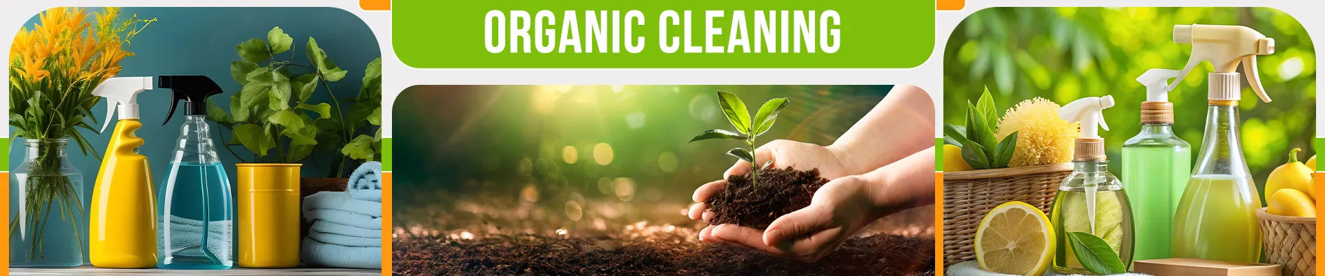 carpet cleaning in brooklyn, carpet cleaning in brooklyn, carpet cleaning brooklyn, carpet cleaners in brooklyn, carpet cleaners in brooklyn, commercial carpet cleaning, commercial carpet cleaning in brooklyn, brooklyn rug cleaners, rug cleaning services in brooklyn, same day carpet cleaning, same day rug cleaning