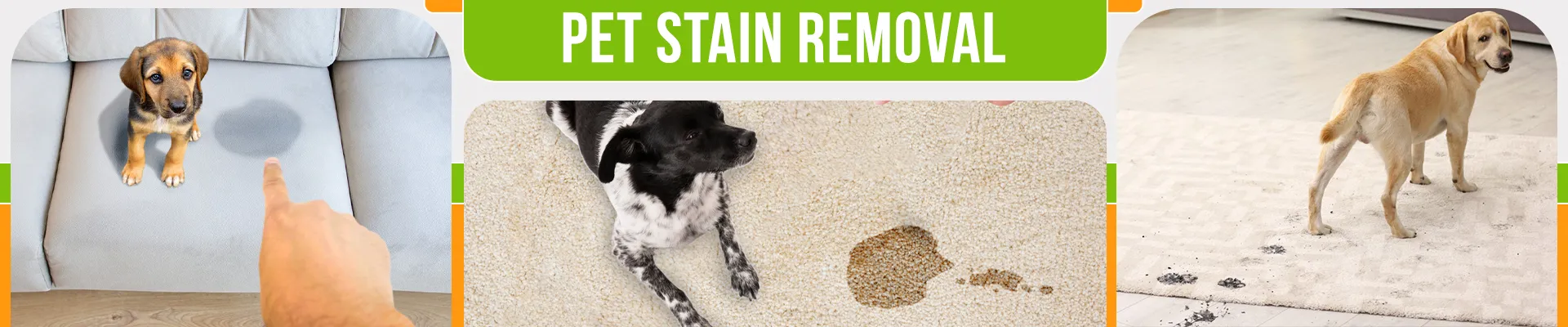 carpet cleaning in brooklyn, carpet cleaning in brooklyn, carpet cleaning brooklyn, carpet cleaners in brooklyn, carpet cleaners in brooklyn, commercial carpet cleaning, commercial carpet cleaning in brooklyn, brooklyn rug cleaners, rug cleaning services in brooklyn, same day carpet cleaning, same day rug cleaning